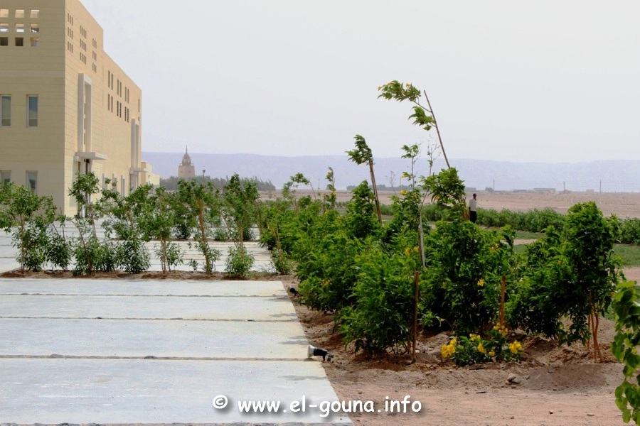 Campus El Gouna 0083